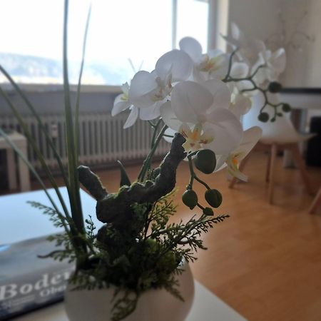Seestudio Mit Toller Aussicht Am Bodensee 博德曼路德维希港 外观 照片