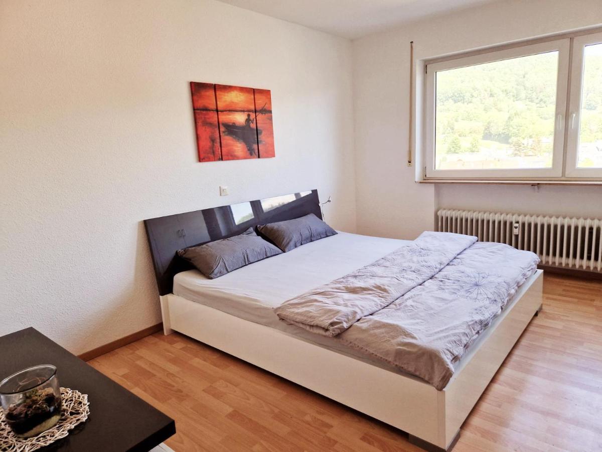 Seestudio Mit Toller Aussicht Am Bodensee 博德曼路德维希港 外观 照片